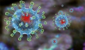 Меры профилактики против коронавирусной инфекции