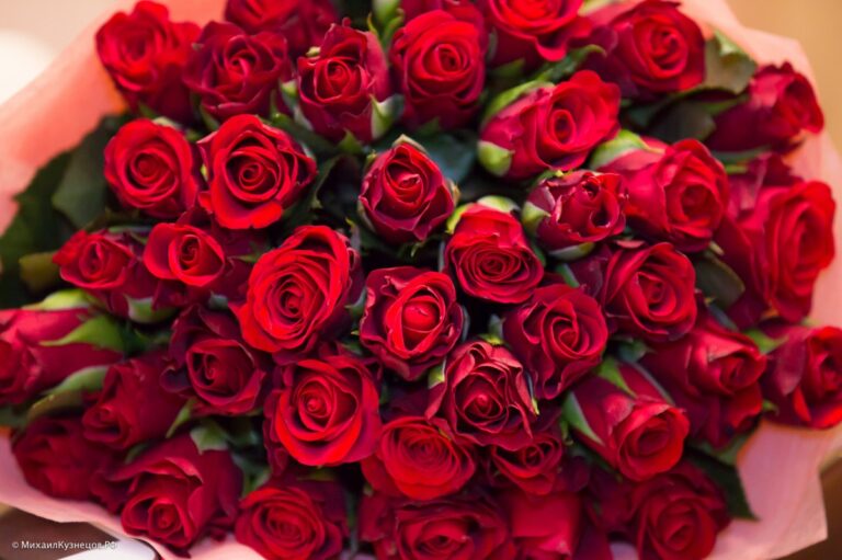 Искусство выбора роз и удобство доставки цветов