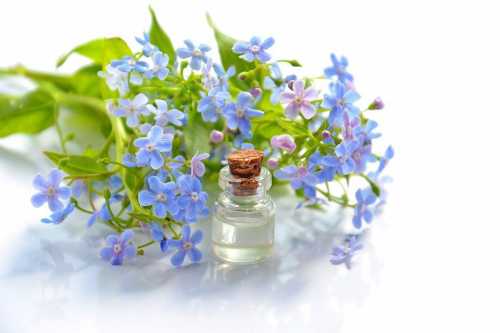Ефірні олії, які повноцінно можуть замінити парфуми