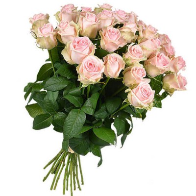 Букет из 25 розовых роз, 60см "Розовое небо" Букет из 25 розовых роз, 60см "Розовое небо"