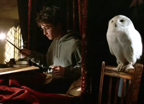 Деніел Редкліфф висловився про акторів нового «Гаррі Поттера»