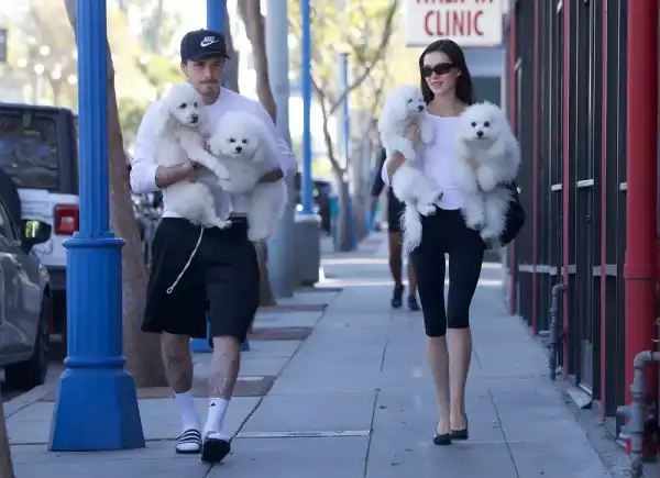 Бруклін Бекхем і Нікола Пельтц вигулюють собак після грумінгу в Беверлі-Хіллз