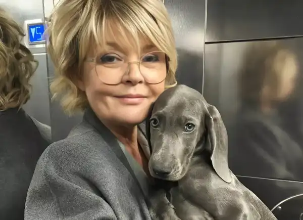 Юлія Меньшова порівняла себе зі своїм домашнім вихованцем та показала&hellip;