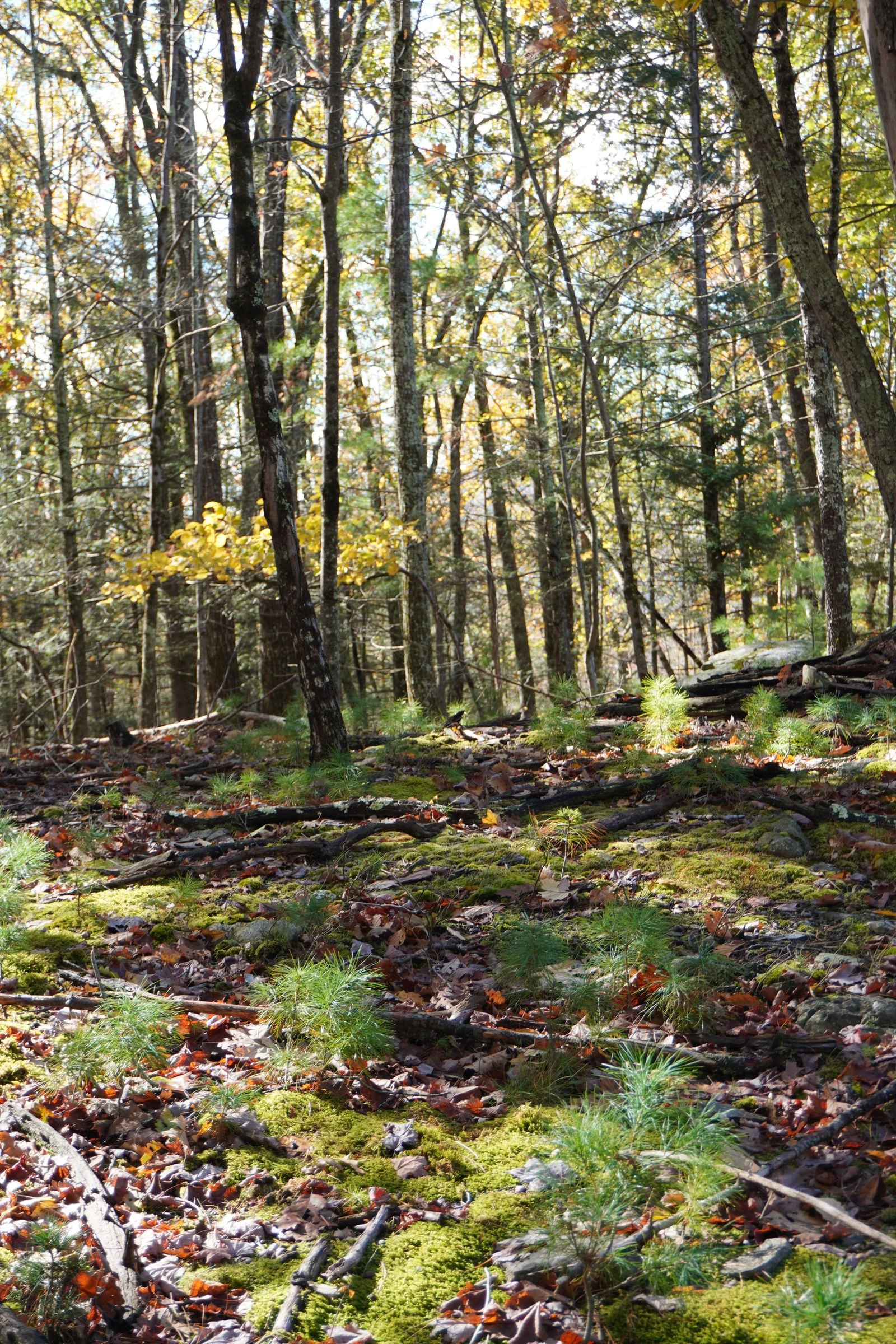 Photo: Courtesy of Marissa Angell 5