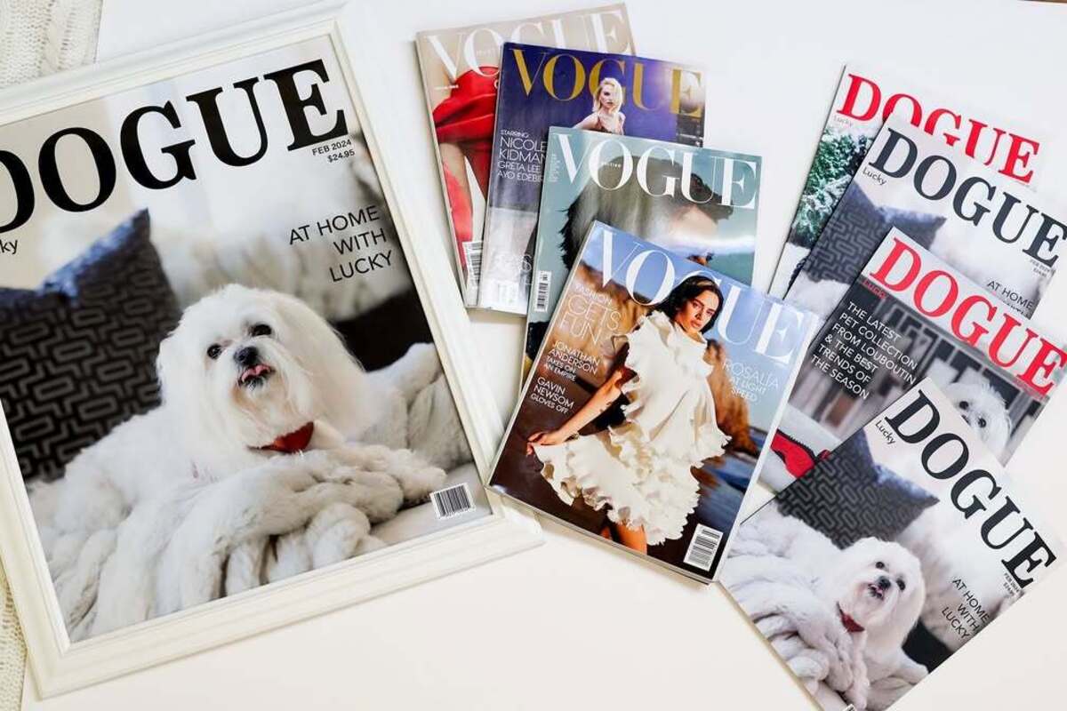Vogue подає до суду на журнал «Дог»: це більше, ніж просто пародія