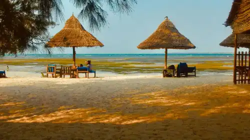 Секрети схуднення та щастя: особистий досвід для кожної жінки.