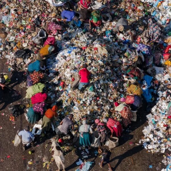 ЄС забороняє знищення непроданого одягу. Експерт: «Це призведе до зміни…