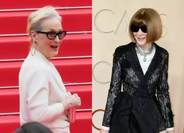 У Меріл Стріп та Ганни Вінтур виявилися спільні родичі