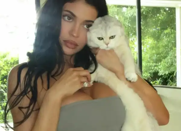 Кайлі Дженнер оприлюднила пікантні домашні фотографії