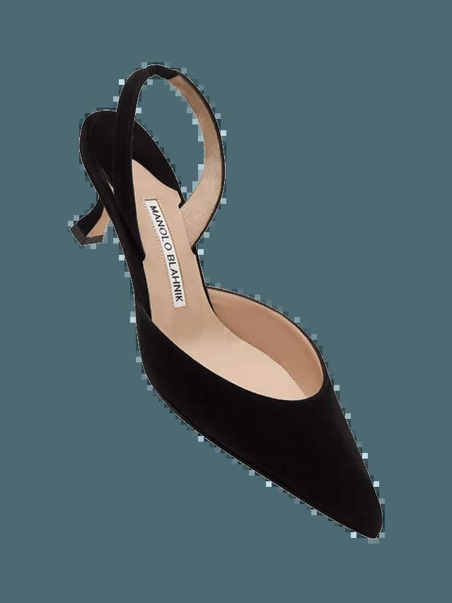 Туфлі Carolyne від Manolo Blahnik3