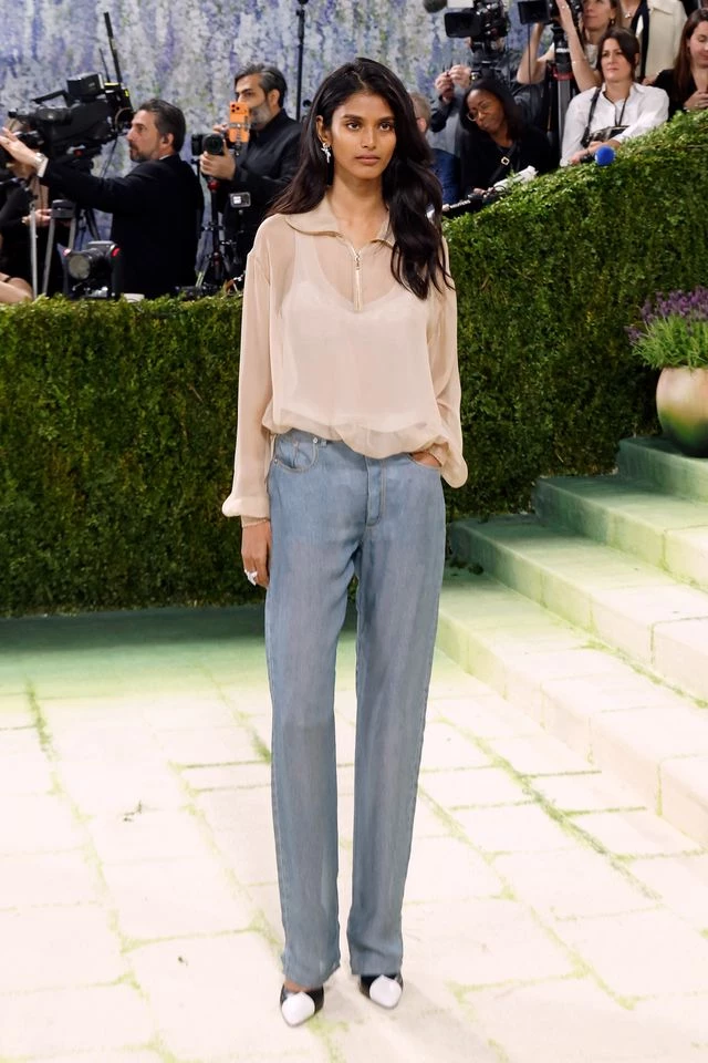 Бгавіта Мандава на Met Gala 2026. Photo: Taylor Hill/Getty Images 0