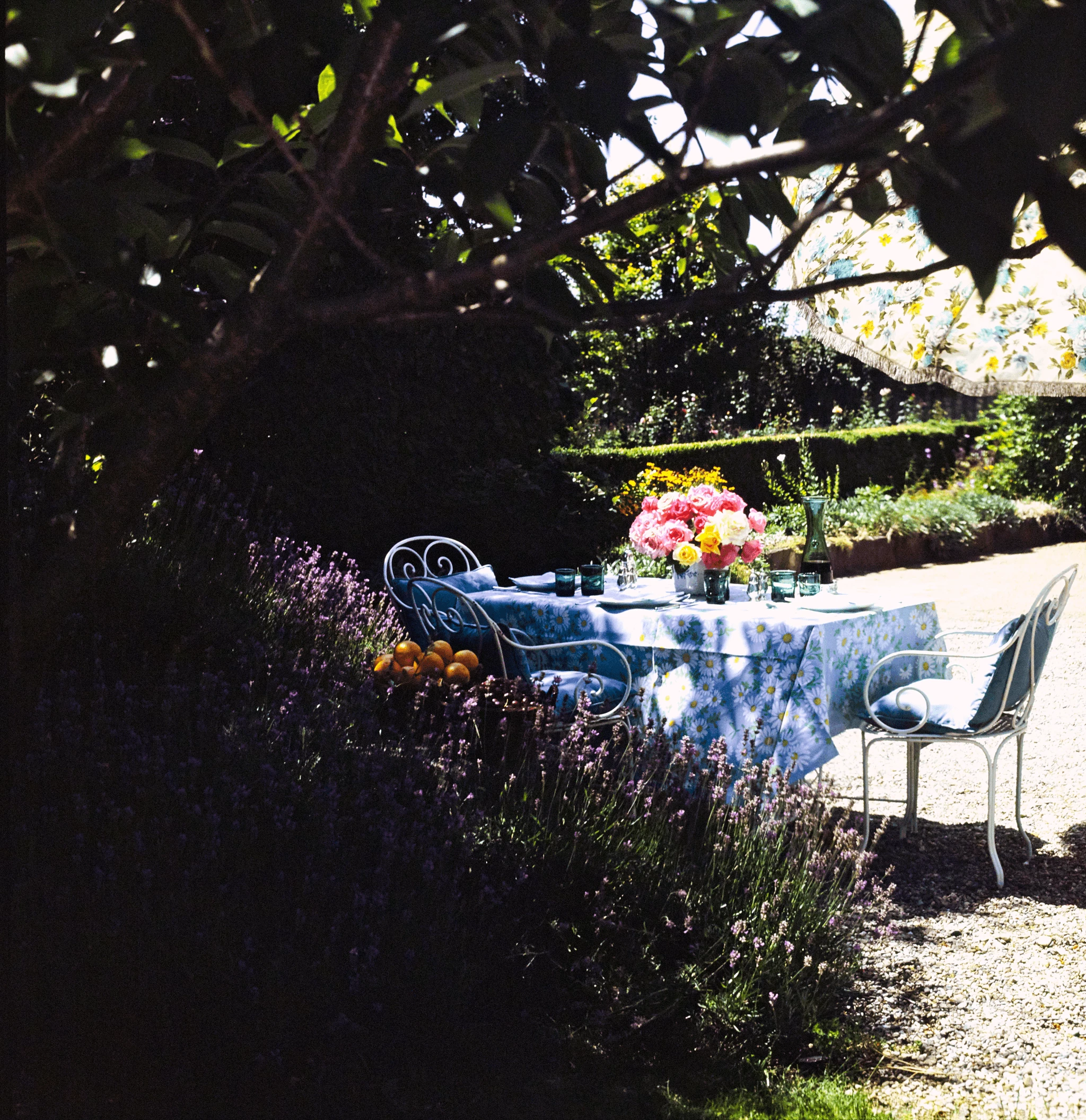 A corner of the garden near the house La Paisible, where the actress Audrey Hepburn lived, in the Swiss town of Tolochenaz. Photo: Henry Clarke, Vogue, April 196118