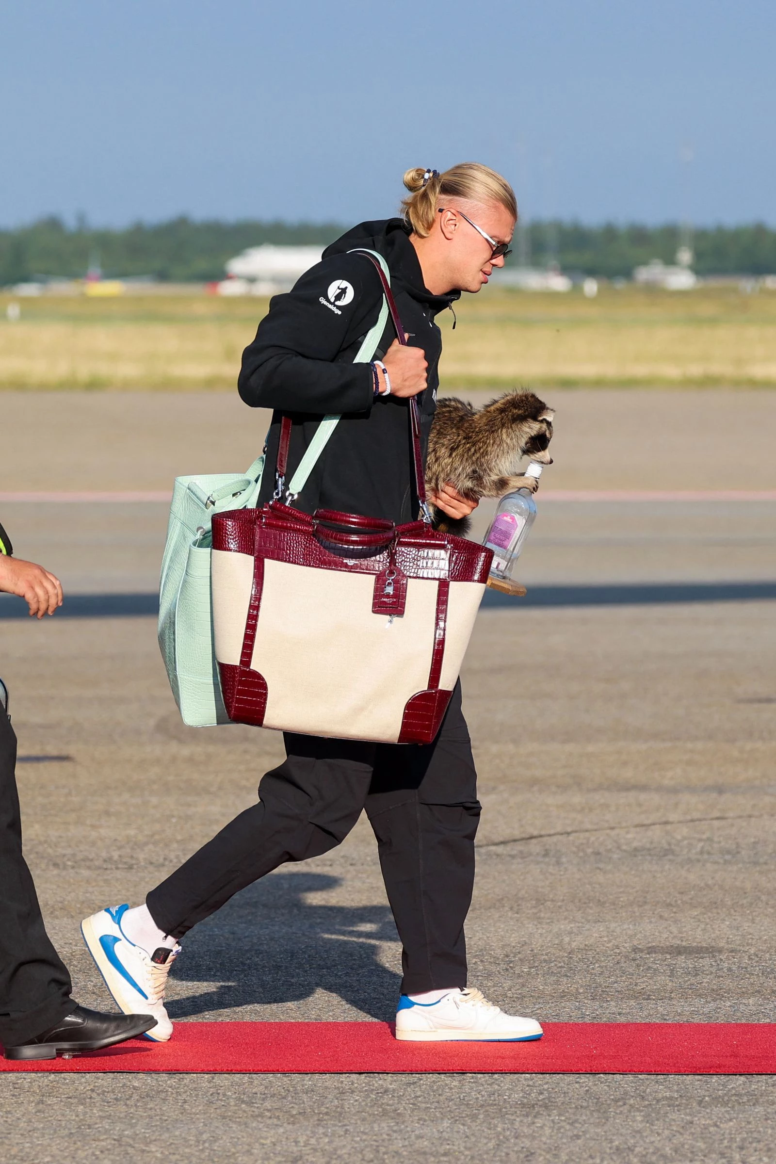 Ерлінг Голанд повернувся додому з новою сумкою від Dolce & Gabbana і опудалом єнота1