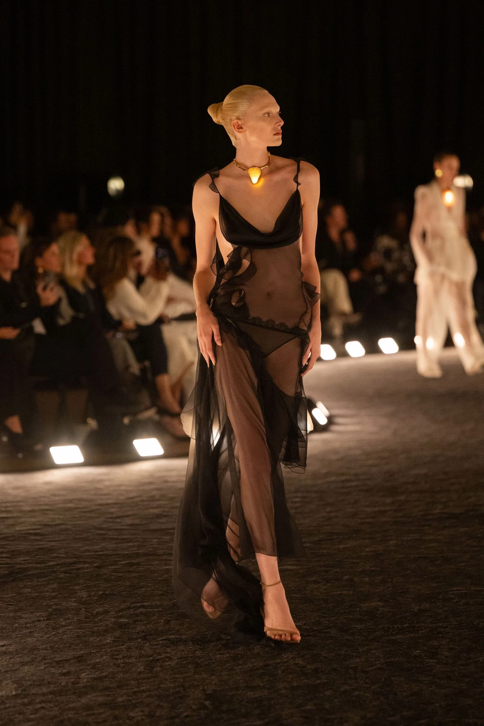 Schiaparelli23