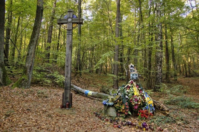 Володимир Івасюк: невідомі факти з життя легендарного композитора17