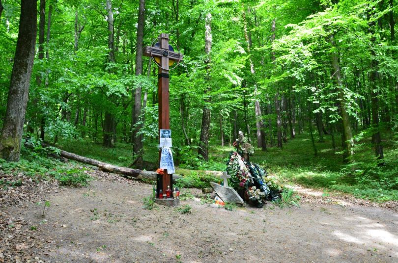 Володимир Івасюк: невідомі факти з життя легендарного композитора20