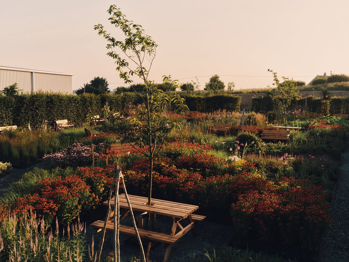 Фабрика, яка має власний сад: New Balance показали красивий приклад турботи про працівників3