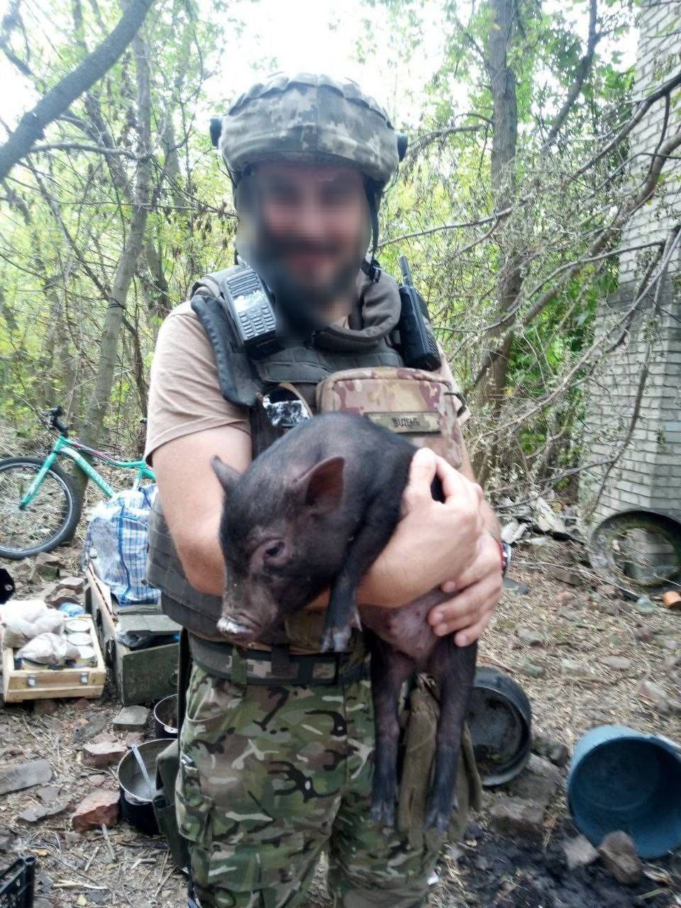 Козеня Оленка, кабанчик Кабачок з передової та кролик з Покровська: 3 дивовижні історії з фільму «РЯТУЙ»5
