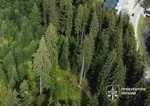 Лісові ділянки біля Буковеля передали під забудову на основі фальшивих документів