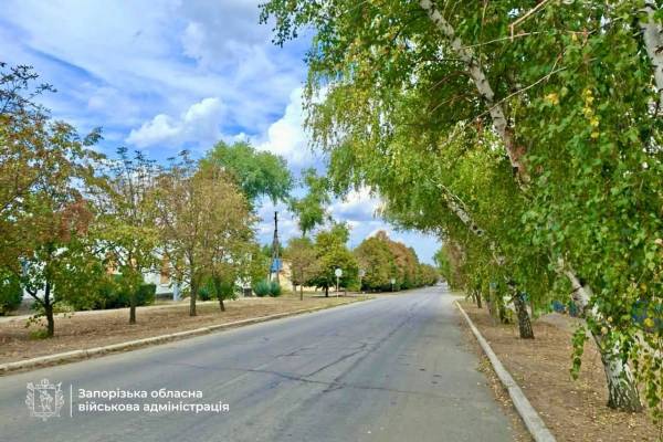 Водії на Запоріжжі руйнують антидронові сітки